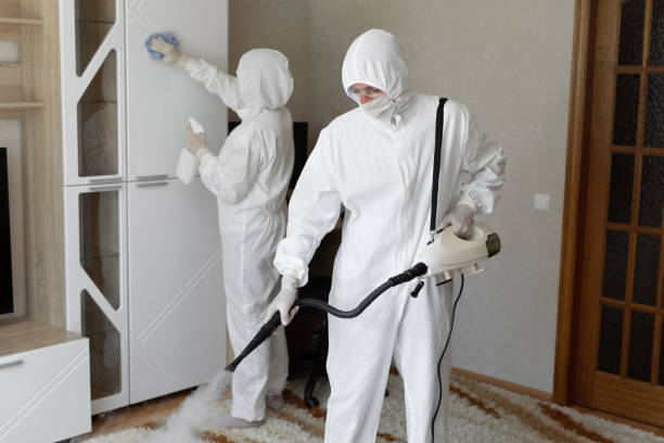 Best Commercial Mold Removal  in Quinebaug, CT